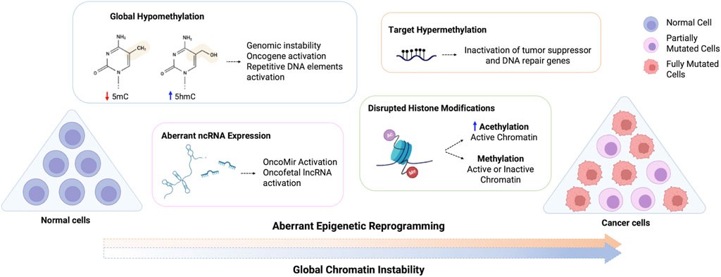 Renjith Vijayakumar Selvarani